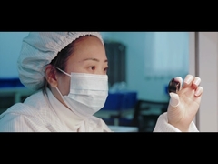 introdução de empresa